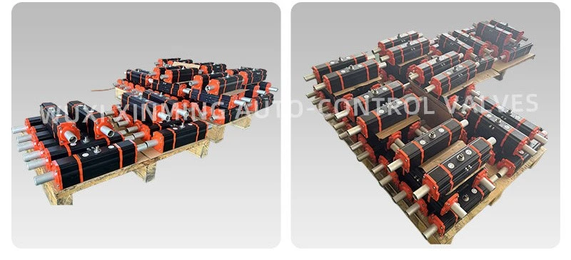 Pneumatic Actuator for water treatment Pneumatic Actuator for water treatment